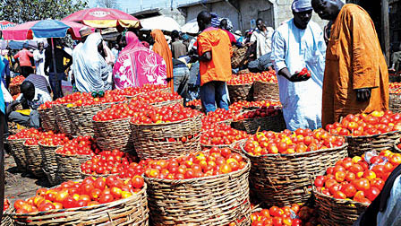 INVESTIGATION SHOWS LOCAL PEACE DEALS HOLDING ACROSS MOST KATSINA COMMUNITIES DESPITE ISOLATED SECURITY INCIDENTS
